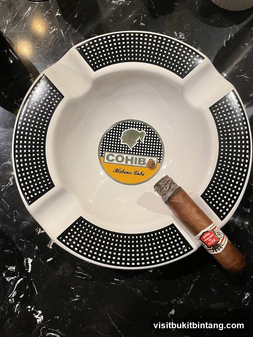 Cigar Ashtray with Cigar