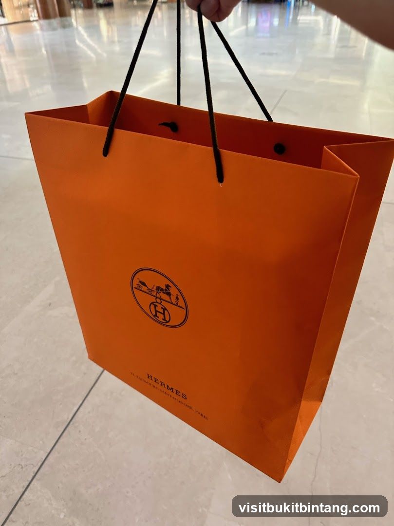 Hermes Shopping Bag