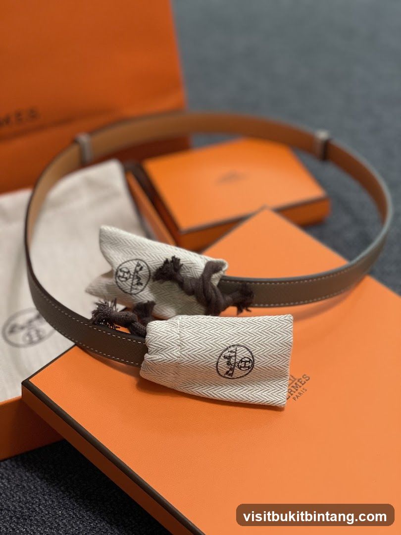 Hermes Belt and Packaging
