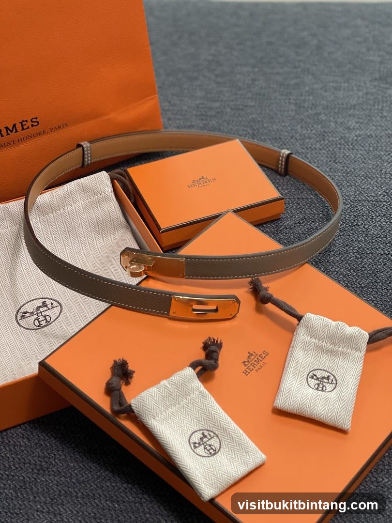 Hermes Belt and Packaging