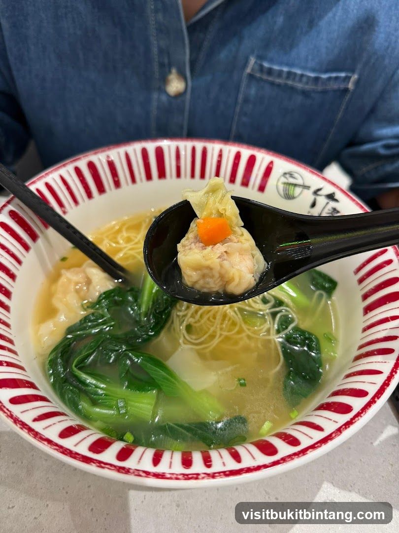 Wonton Noodle Soup