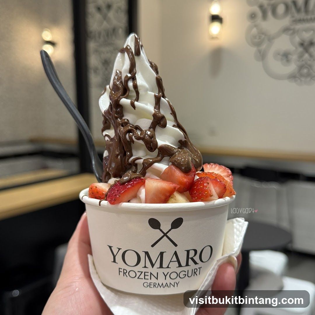 Yomaro Frozen Yogurt with Strawberries and Chocolate Drizzle