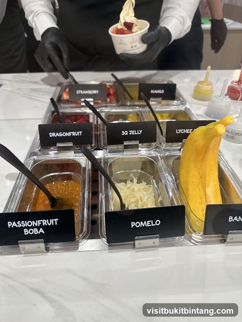 Frozen Yogurt Toppings