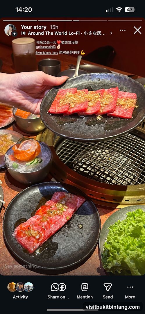 Raw Meat and Salmon Sashimi