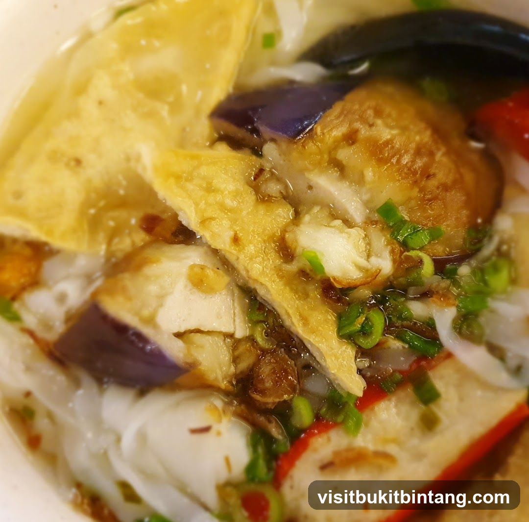 Noodle Soup with Eggplant and Tofu