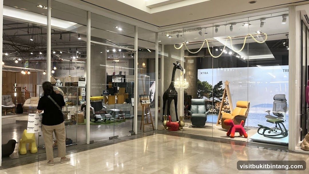 Store Interior with Furniture and Decorations