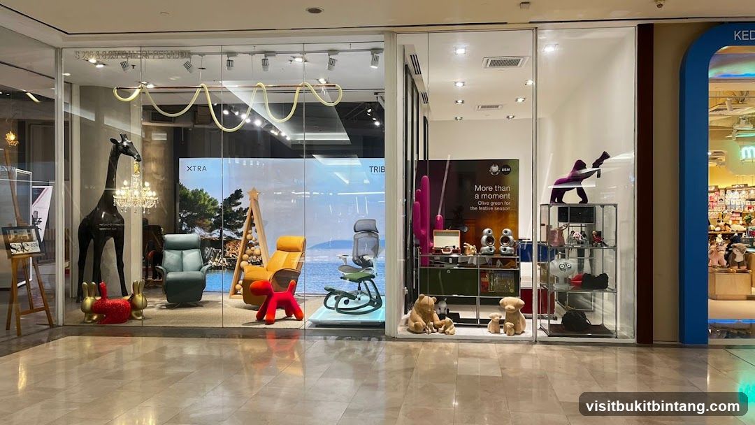 Store Window Display