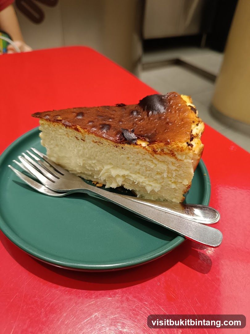 Burnt Basque Cheesecake Slice