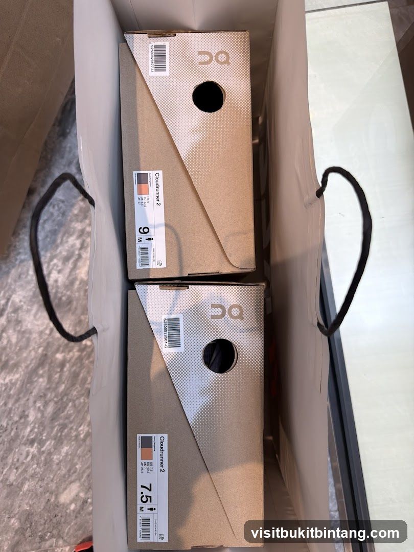 Two Shoe Boxes in a Shopping Bag