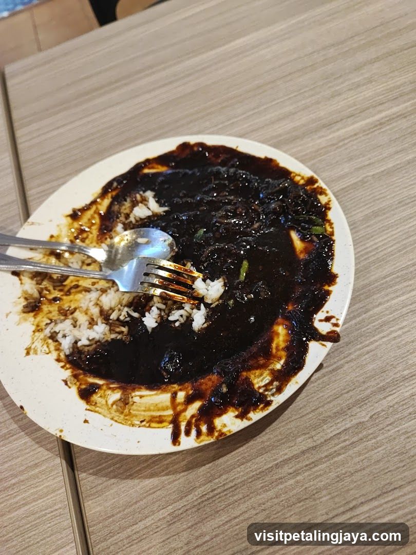 Plate of food with dark sauce and rice