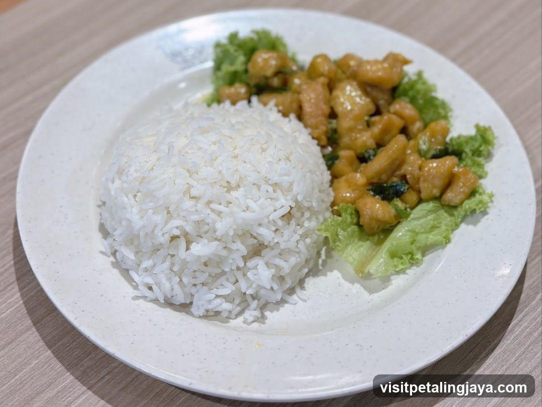 Chicken Rice Plate