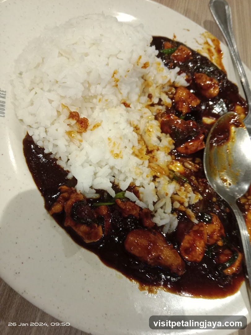 Plate of Chicken with Rice