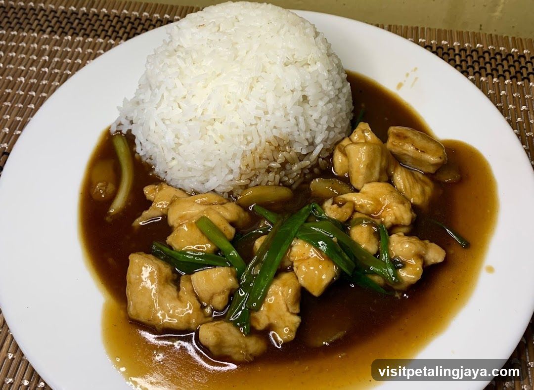 Chicken and Rice with Sauce