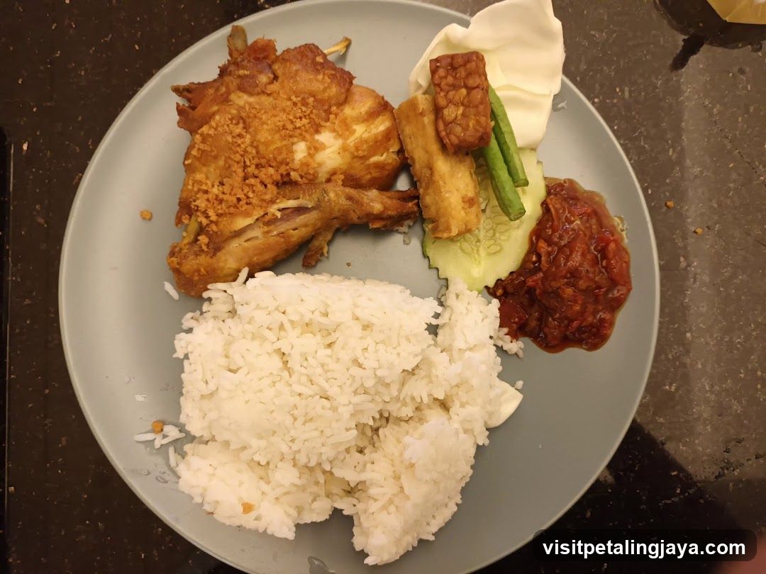 Fried Chicken and Rice Plate