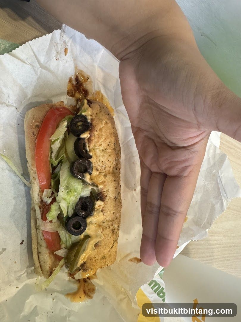 Subway Sandwich and Drink