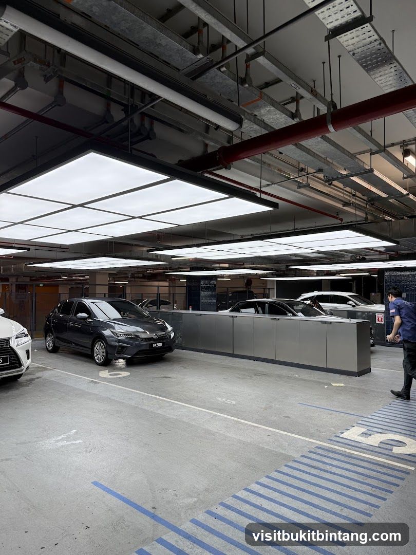 CARs International (The Exchange TRX)