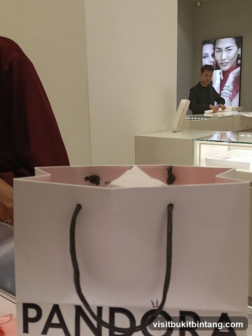 Pandora Shopping Bag