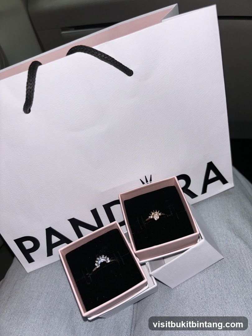 Pandora Shopping Bag with Rings