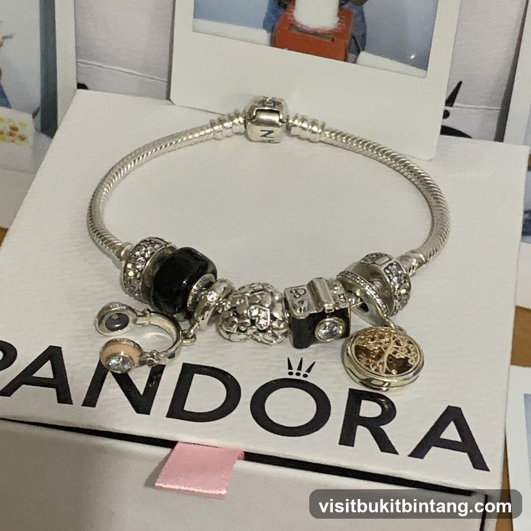 Pandora bracelet with charms