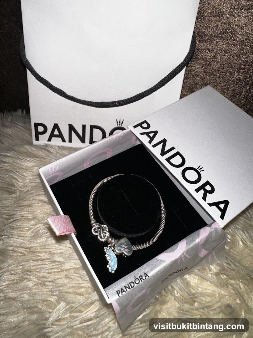 Pandora Bracelet and Packaging