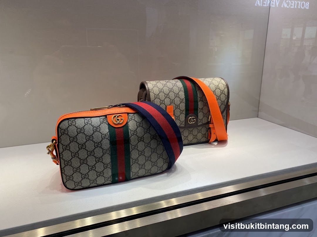 Gucci Bags