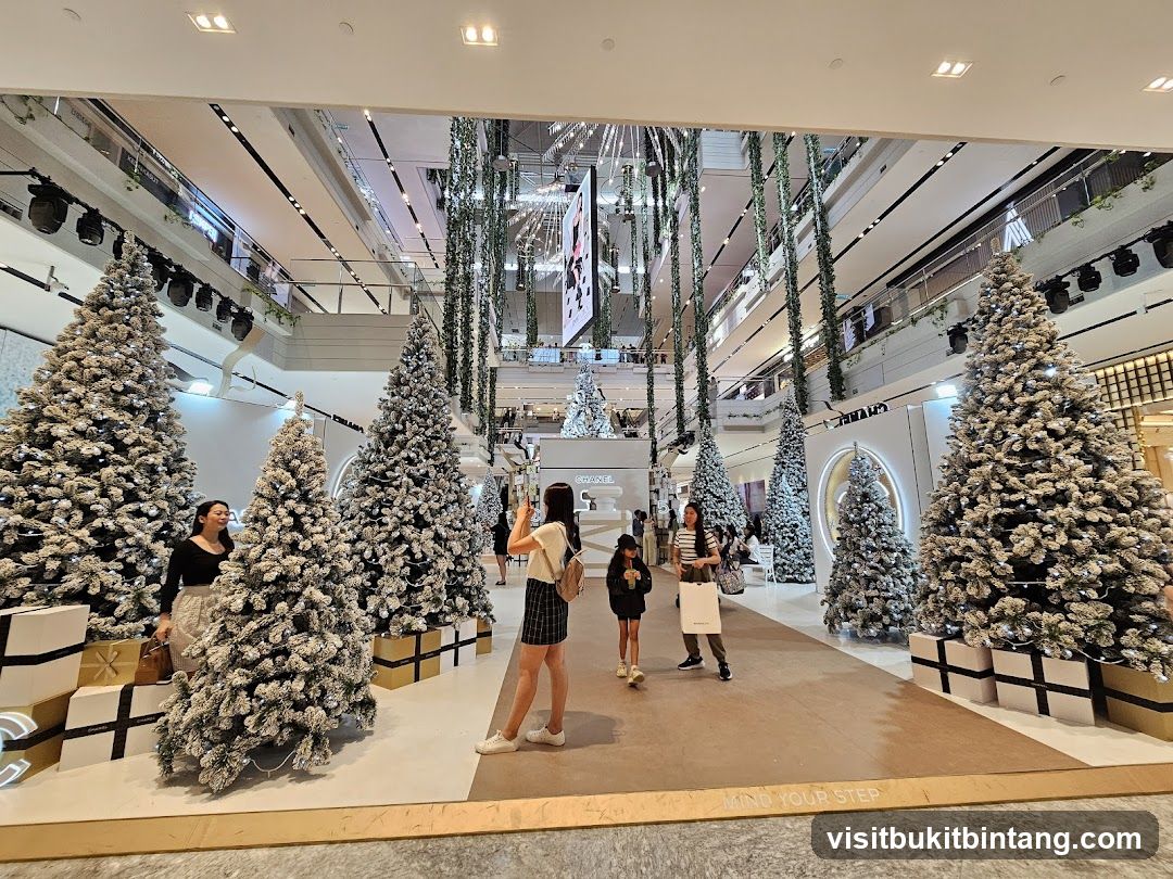Christmas Display in a Mall