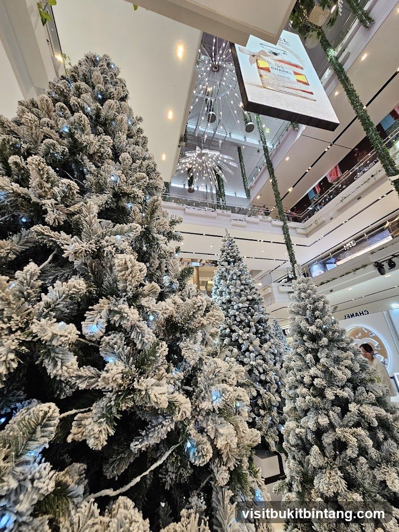 Christmas Trees in a Mall