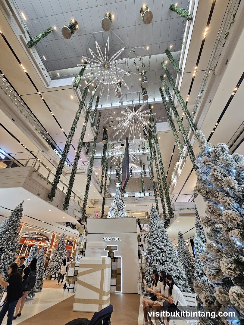 Chanel Christmas Display