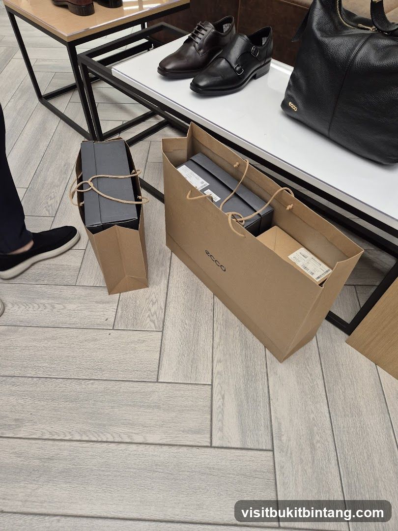 Ecco Shopping Bags and Shoes