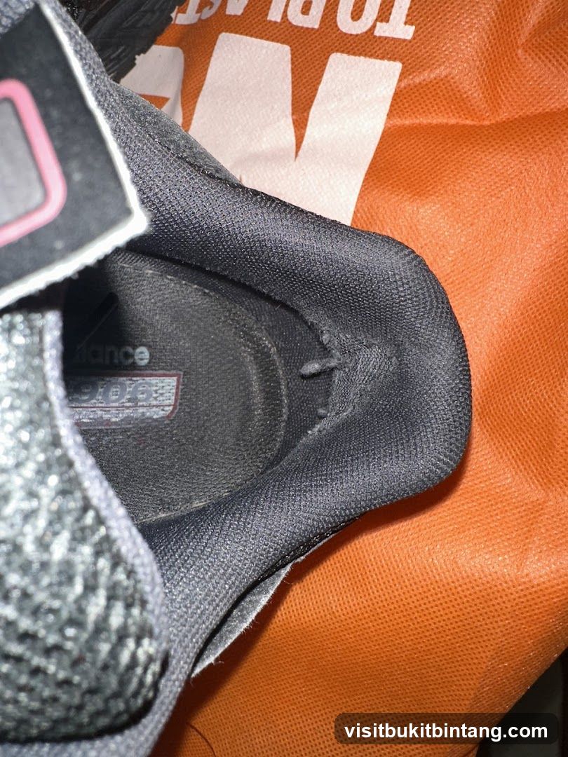 Shoe Interior