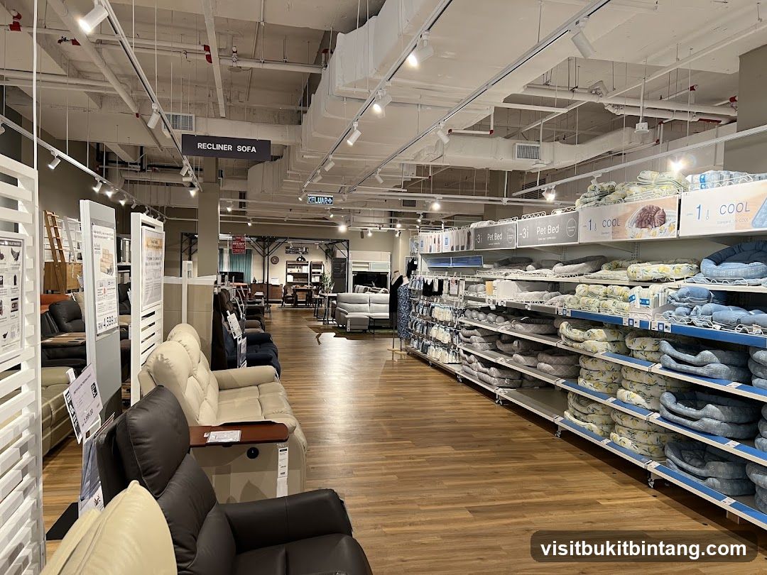 Furniture and Pet Bed Store Interior