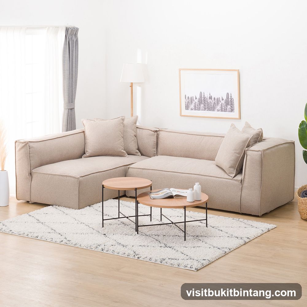 Modern Living Room Setup