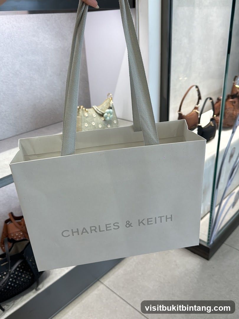Charles & Keith Shopping Bag