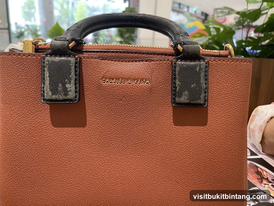 Brown Handbag with "CHARLES & KEITH" Logo