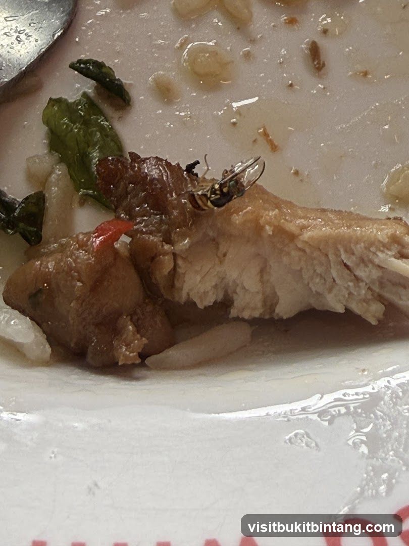 Insect on food