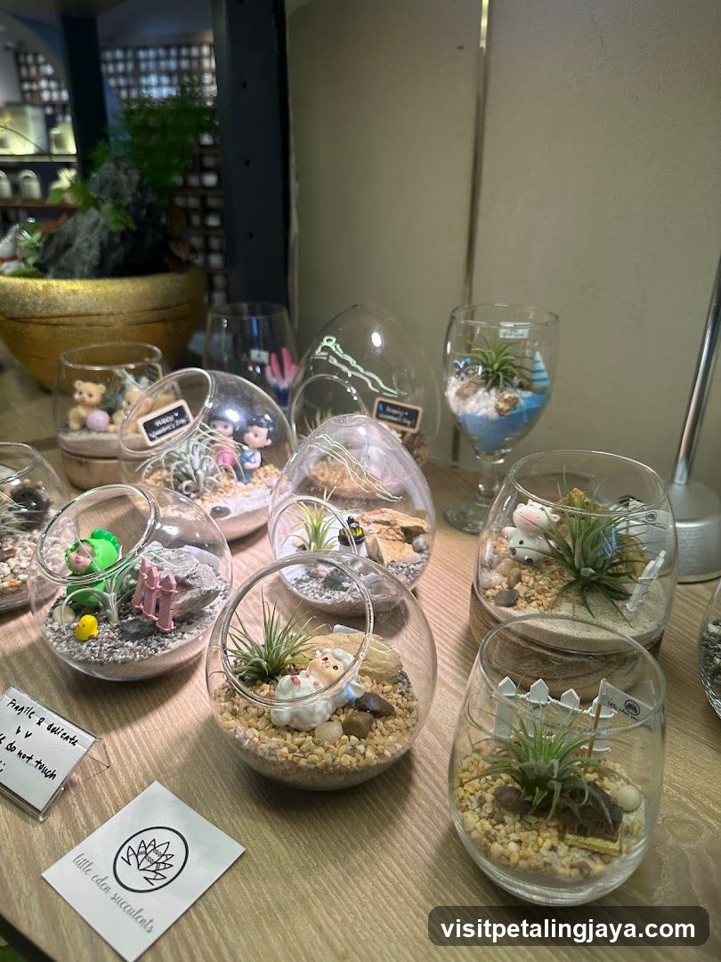 Little Eden Succulents KL Store @The Starhill KL