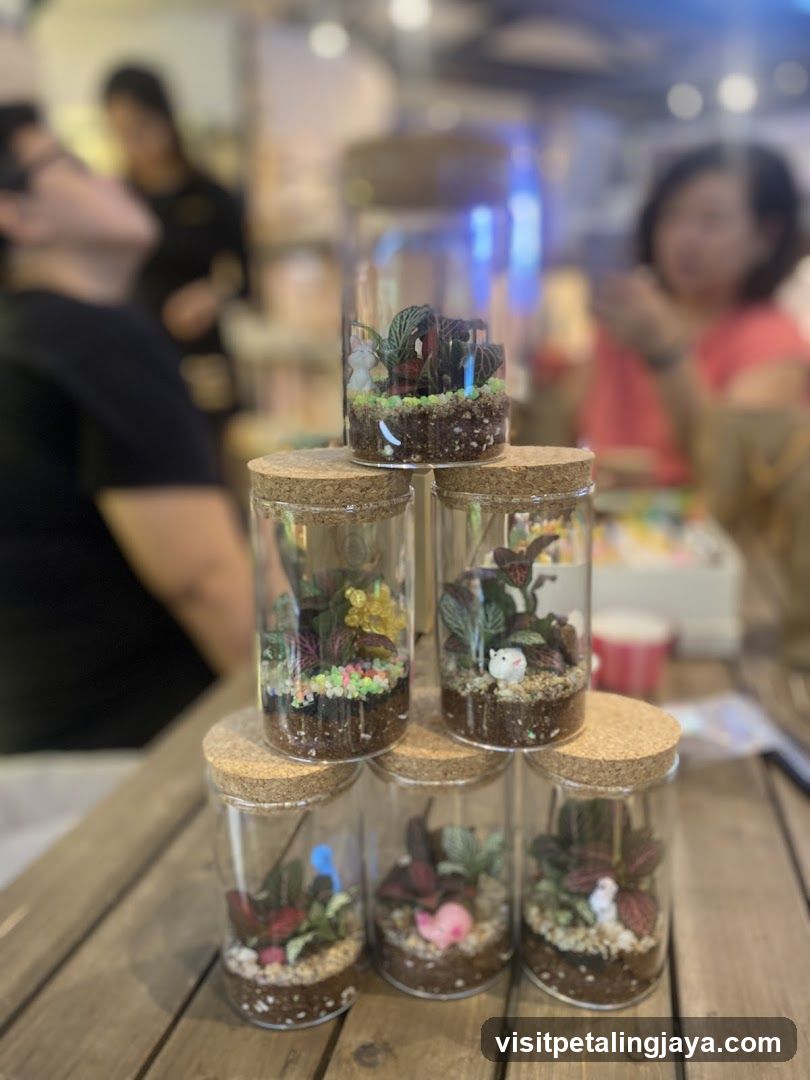 Terrarium Display