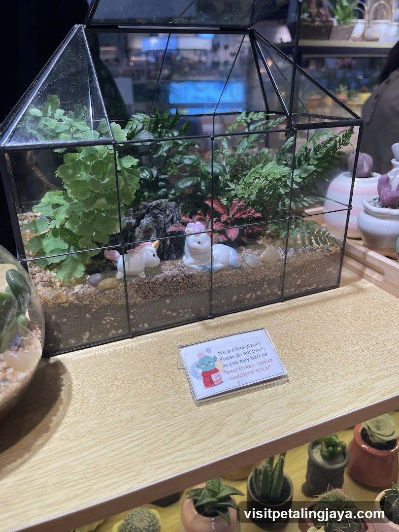 Terrarium Display with Signage