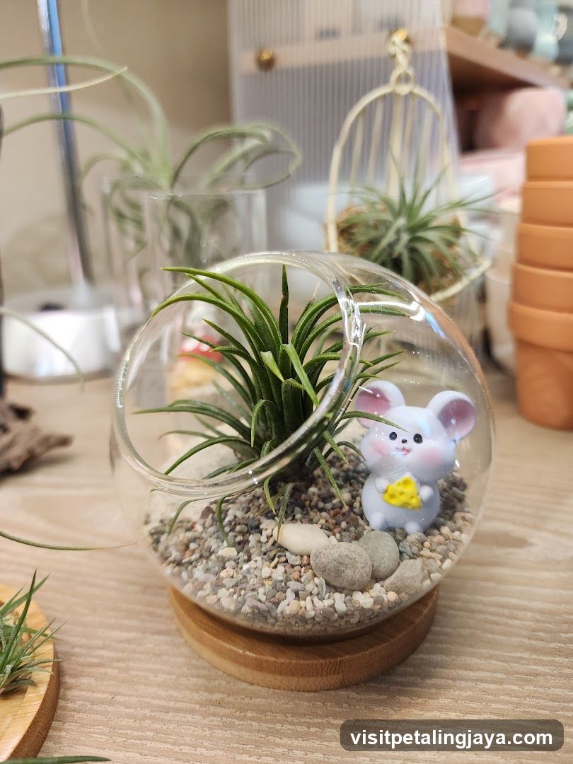 Air Plant Terrarium with Cute Mouse Figurine