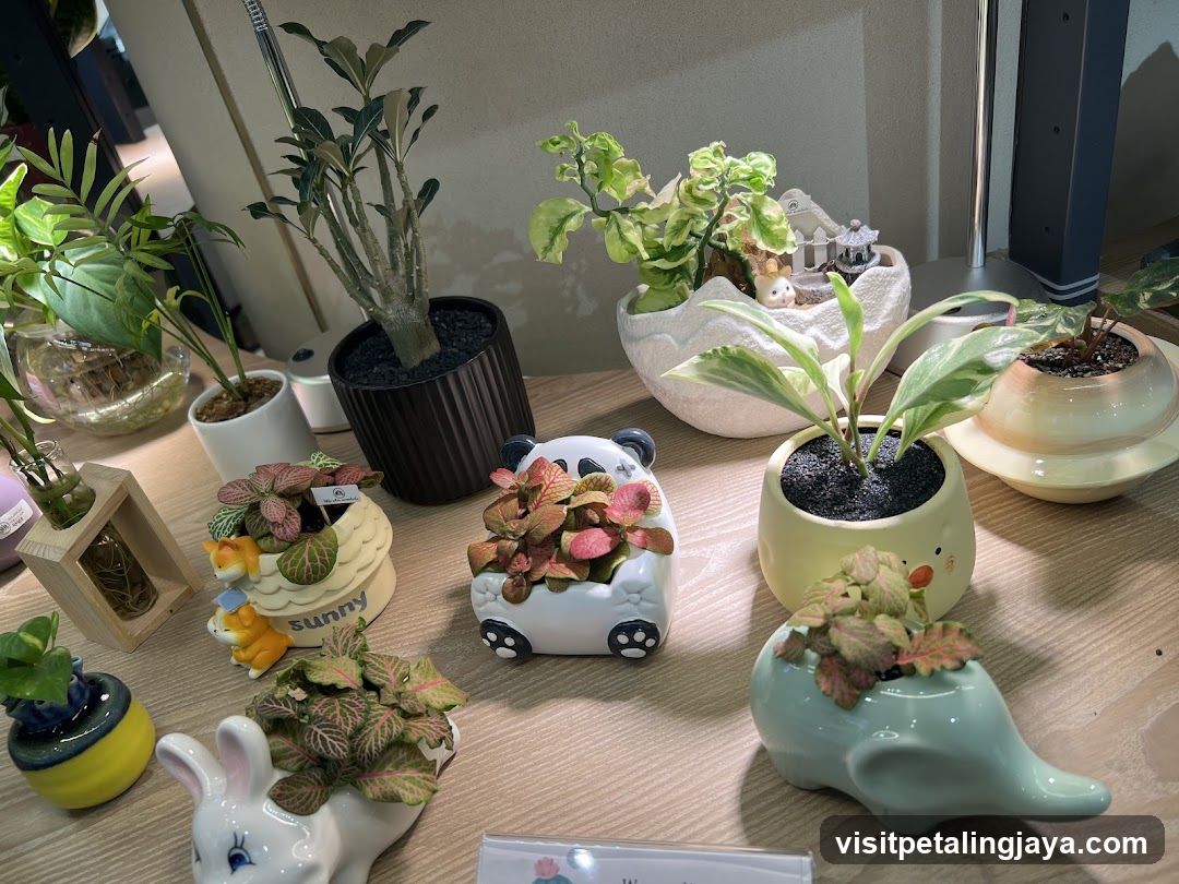 Decorative Plant Arrangement on Desk