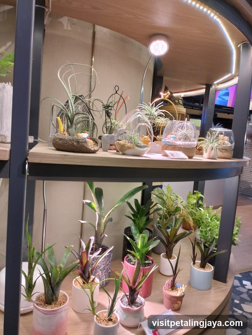 Indoor Plant Display Shelf