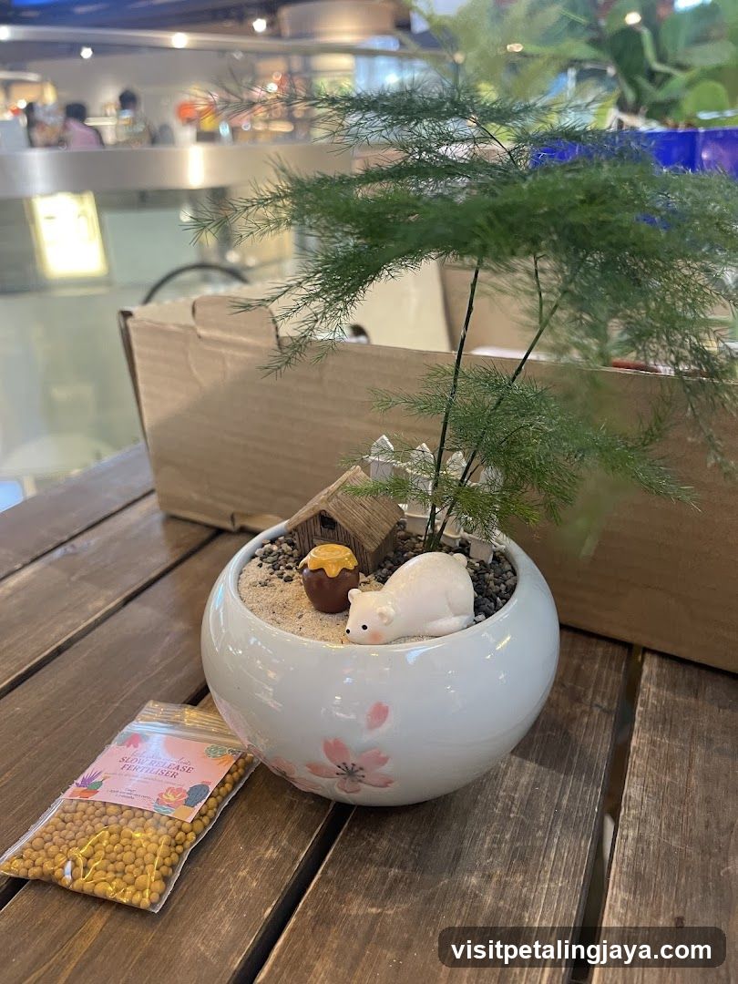 Decorative Plant Arrangement