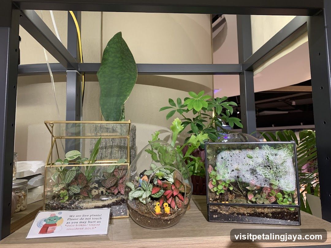 Terrarium Display with Plants and Signage