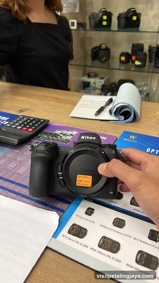Nikon Camera Display