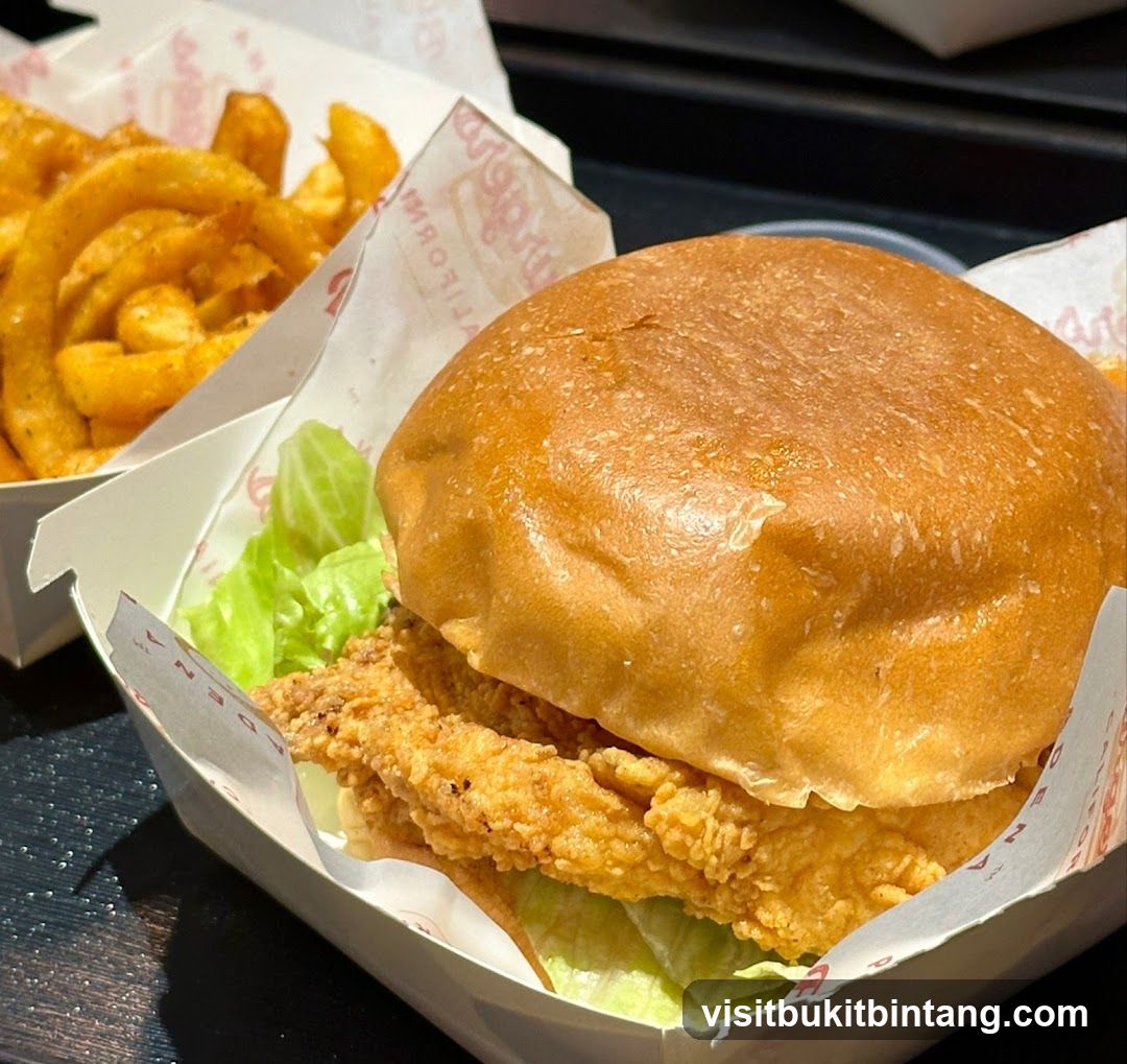 Fried Chicken Sandwich and Curly Fries