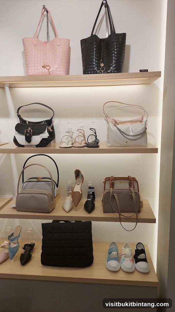 Handbags and Shoes Display