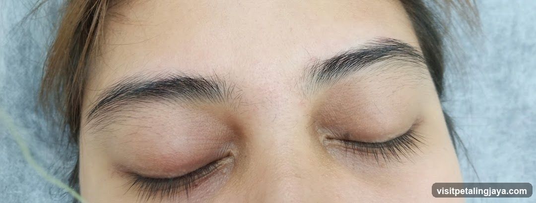 Eyebrow and Eye Makeup Application