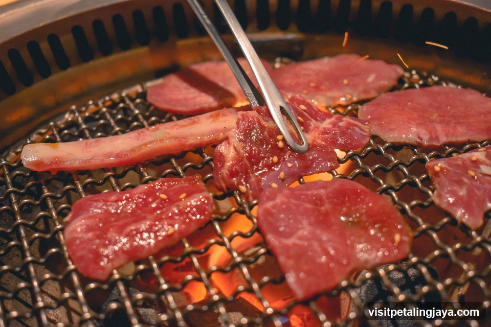 Grilled Meat on Charcoal Grill