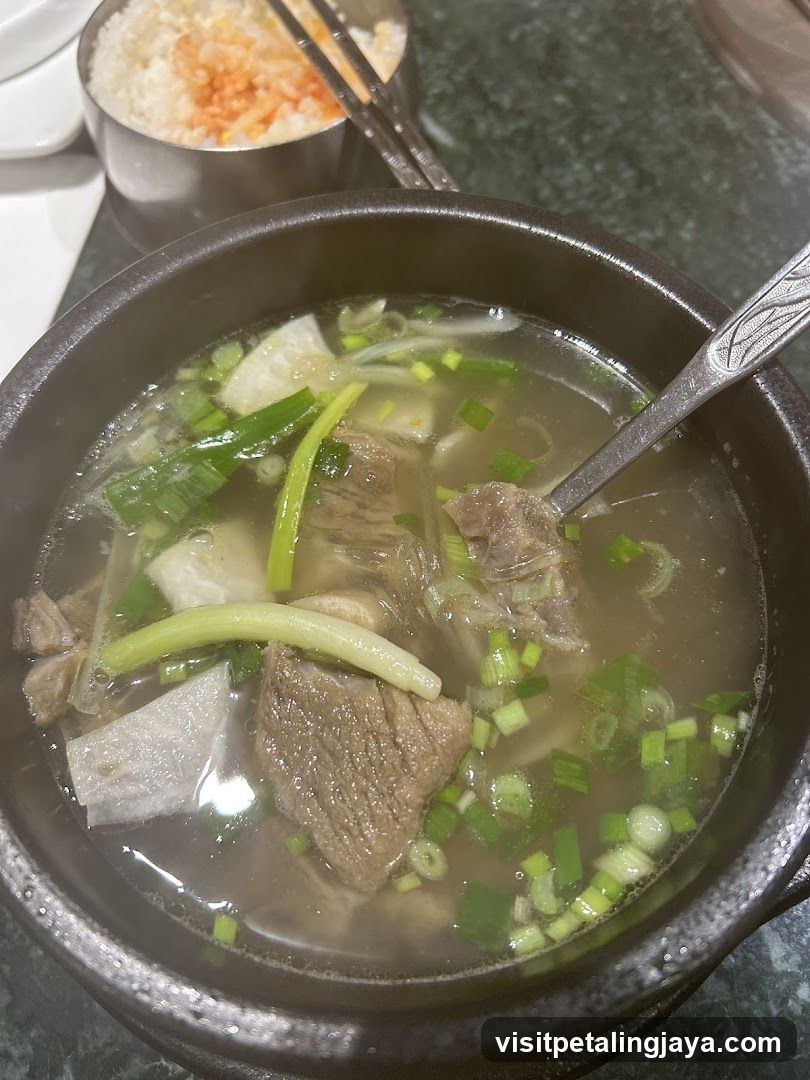 Bowl of Beef Soup with Green Onions