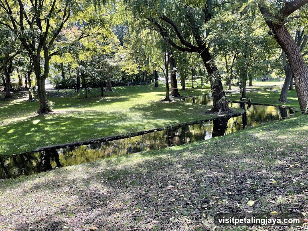 Park with Stream and Trees